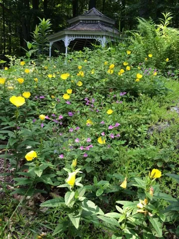 175 Western Avenue Brattleboro VT 05301