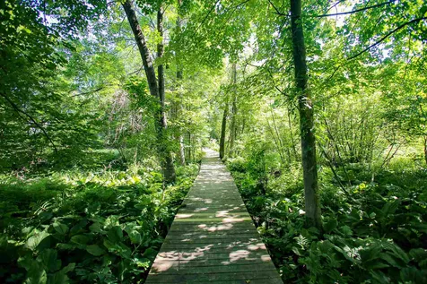 6 Eastman Farm Road Burlington VT 05408
