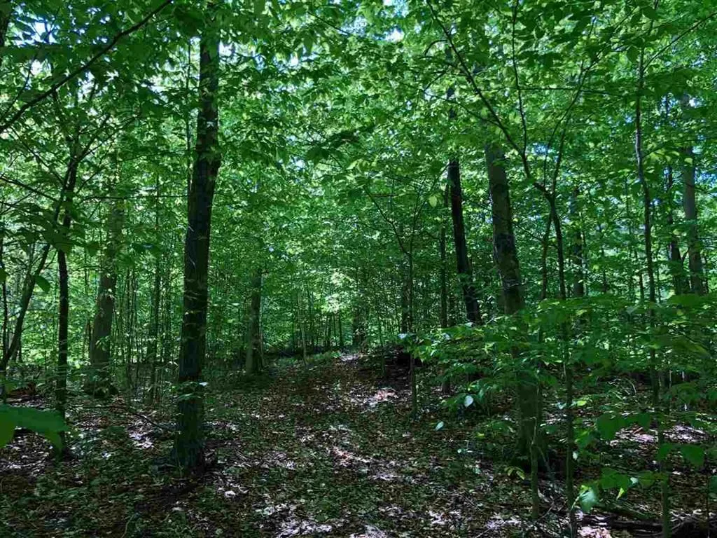 3 Tory Lane North Arlington VT 05250
