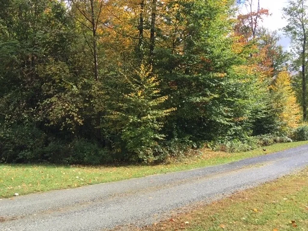 3 Tory Lane North Arlington VT 05250