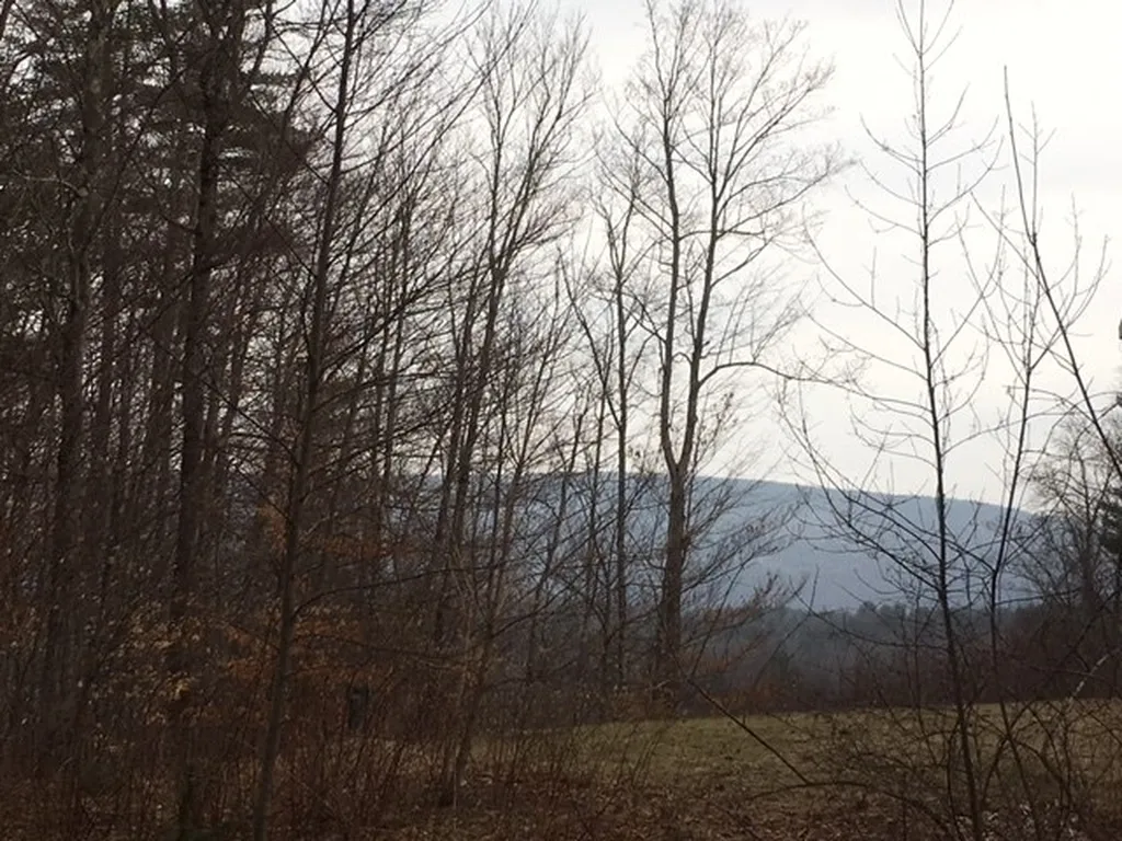 3 Tory Lane North Arlington VT 05250