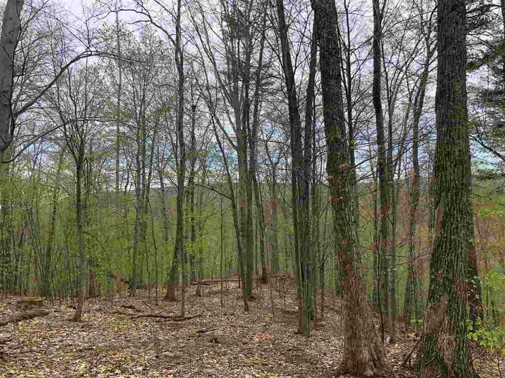 3 Tory Lane North Arlington VT 05250