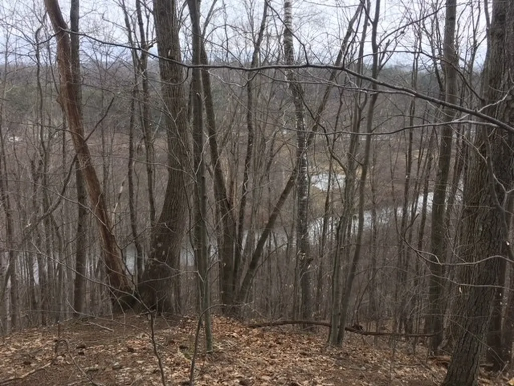 3 Tory Lane North Arlington VT 05250