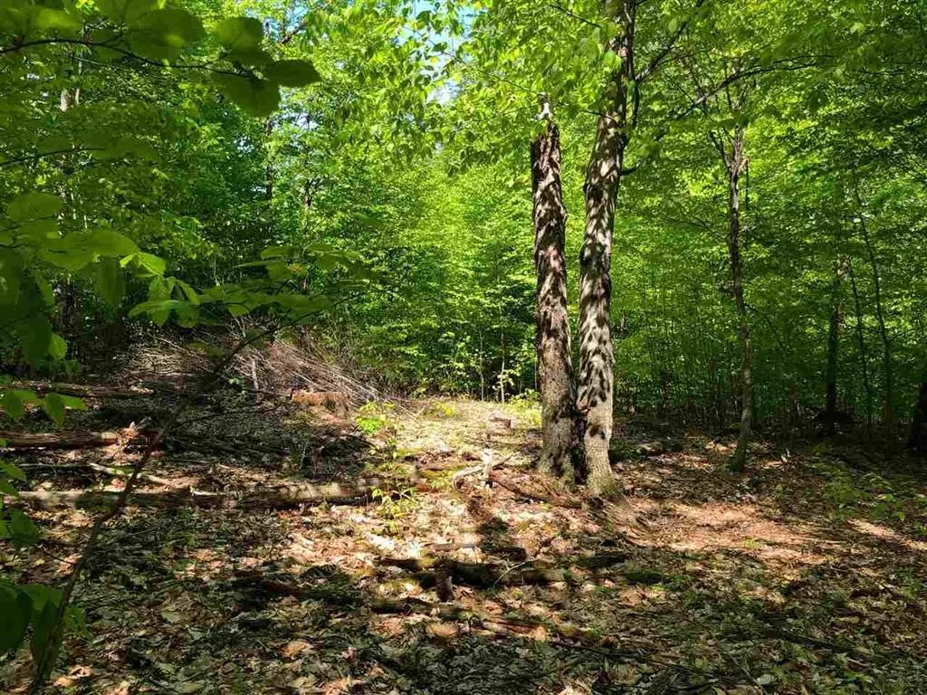 3 Tory Lane North Arlington VT 05250
