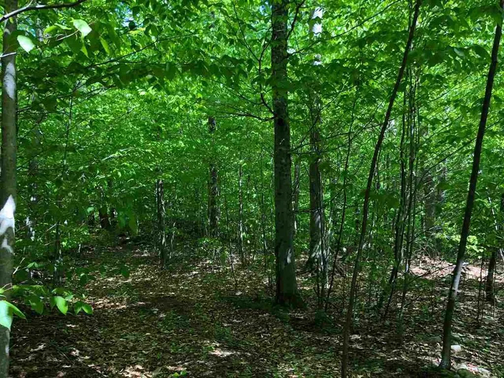 3 Tory Lane North Arlington VT 05250