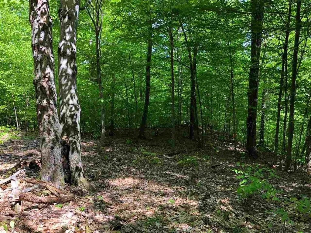 3 Tory Lane North Arlington VT 05250