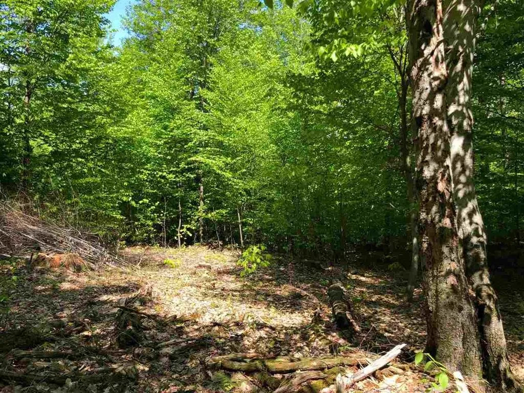 3 Tory Lane North Arlington VT 05250