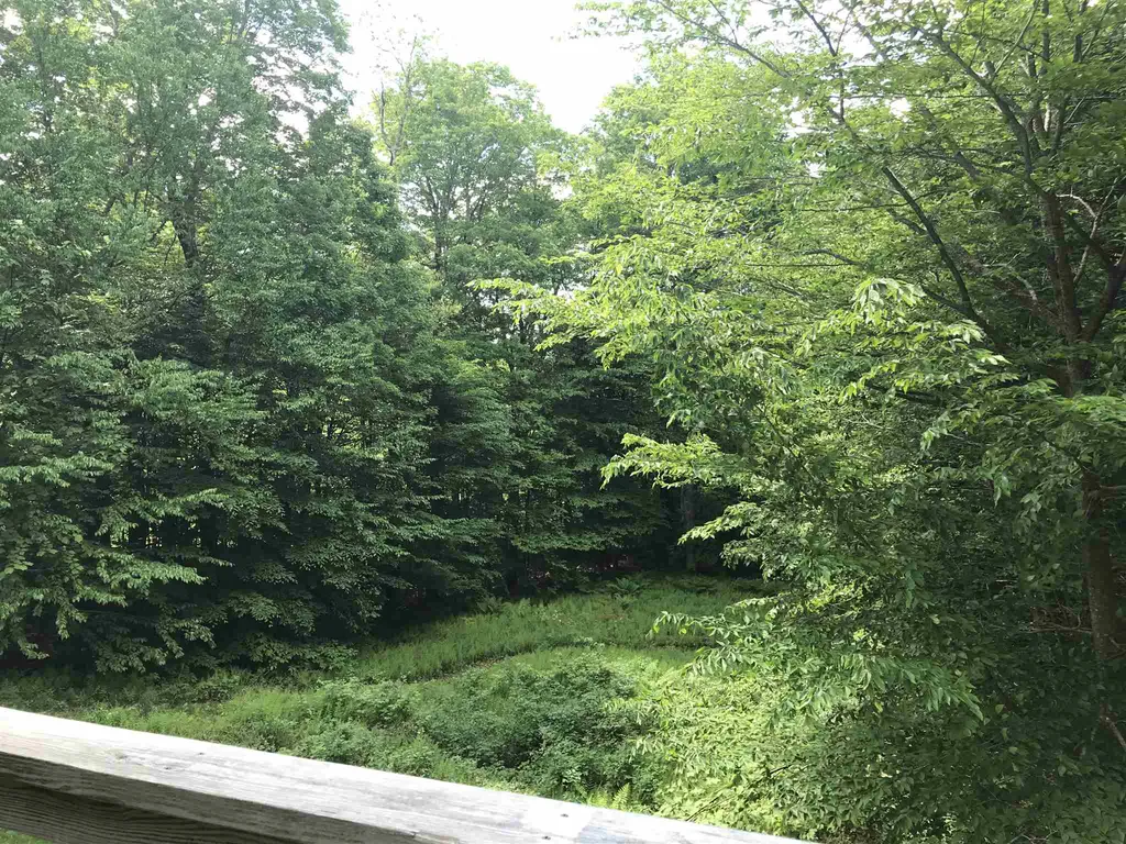 170 Henry's Way Fayston VT 05673