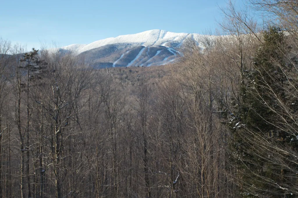 170 Henry's Way Fayston VT 05673