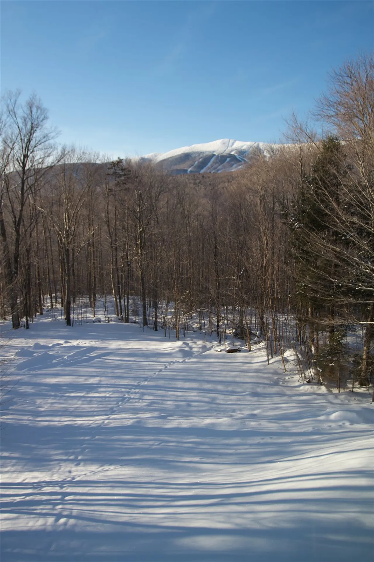 170 Henry's Way Fayston VT 05673