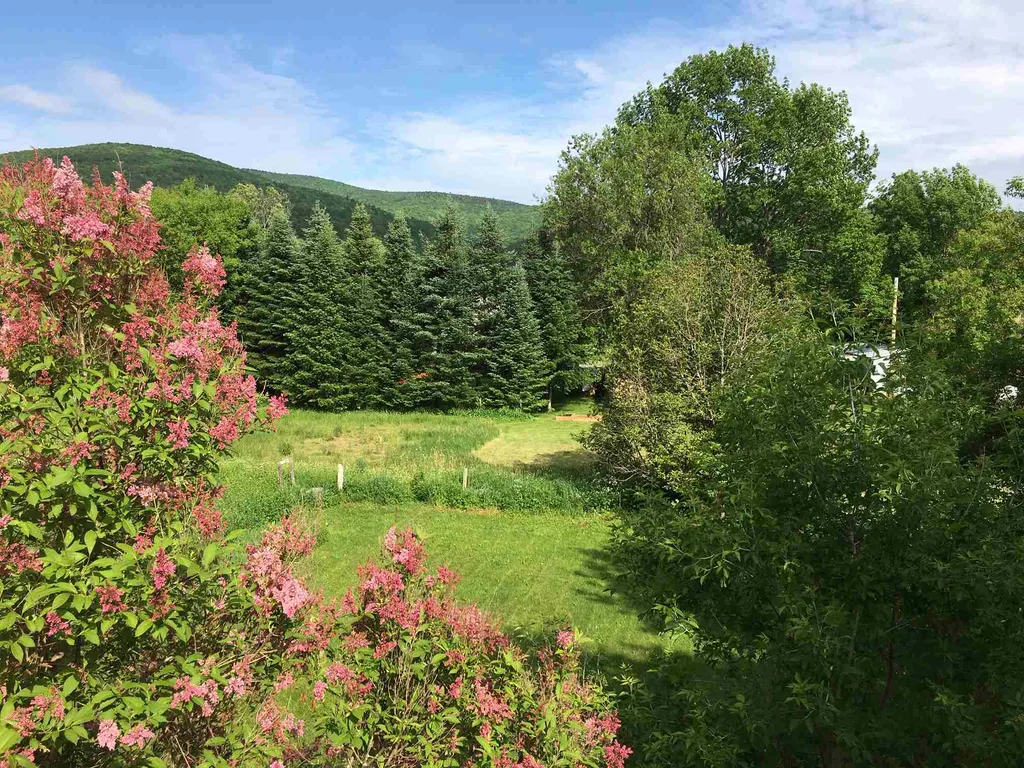 157 Pleasant Street Northfield VT 05663