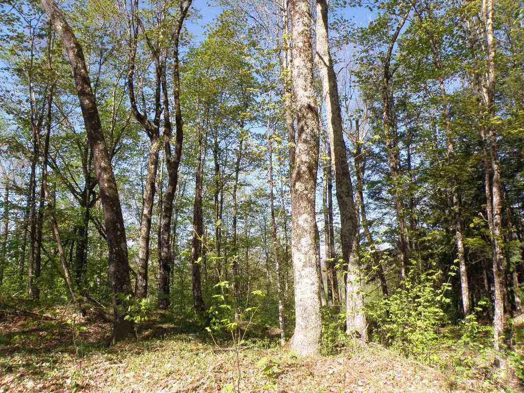0 Thayer Road Bethel VT 05032
