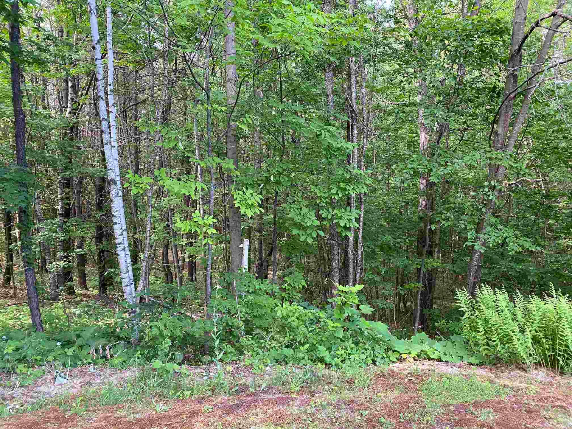 82 Oak Ridge Road Weare NH 03281