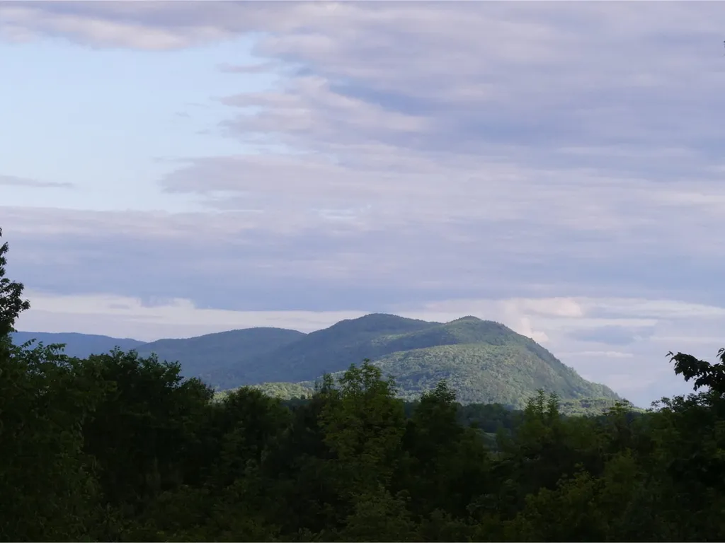 794 Buck Hill Road West Hinesburg VT 05461