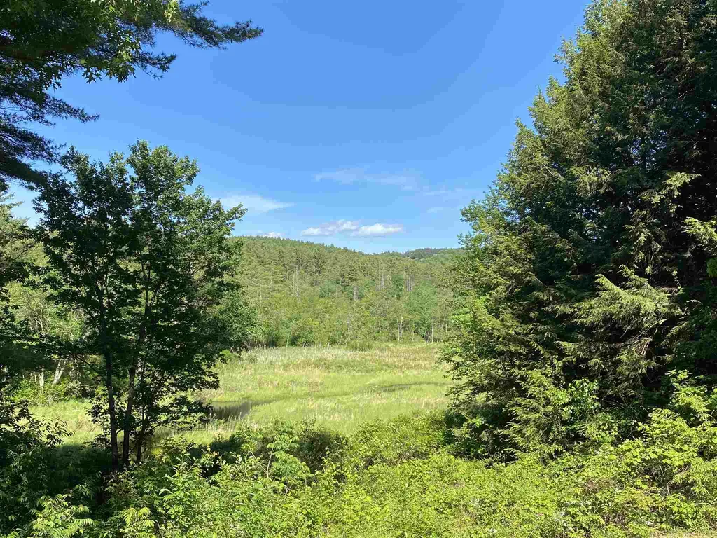 163 Grapevine Road Dunbarton NH 03046