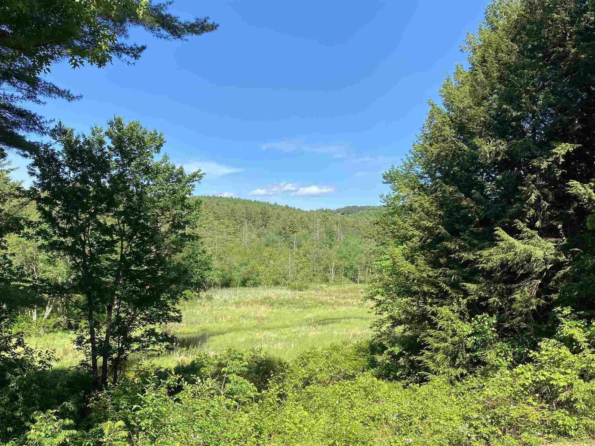 163 Grapevine Road Dunbarton NH 03046