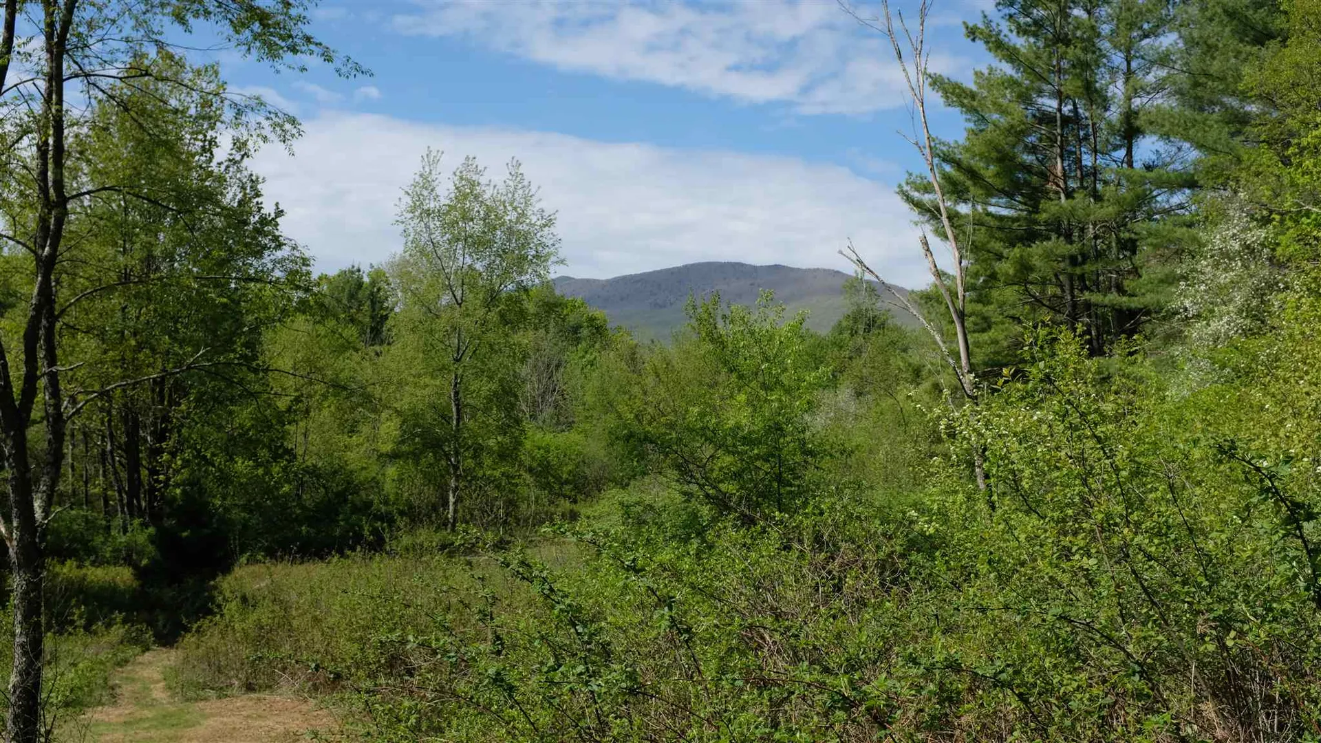 456 Kelleher Road Dorset VT 05251