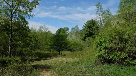 456 Kelleher Road Dorset VT 05251