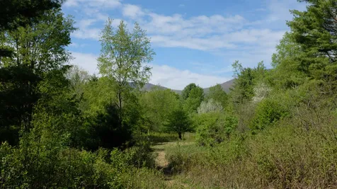 456 Kelleher Road Dorset VT 05251