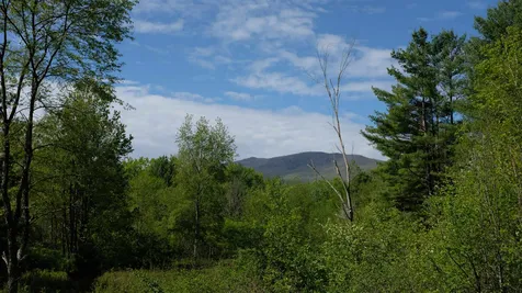 456 Kelleher Road Dorset VT 05251