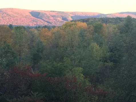 456 Kelleher Road Dorset VT 05251