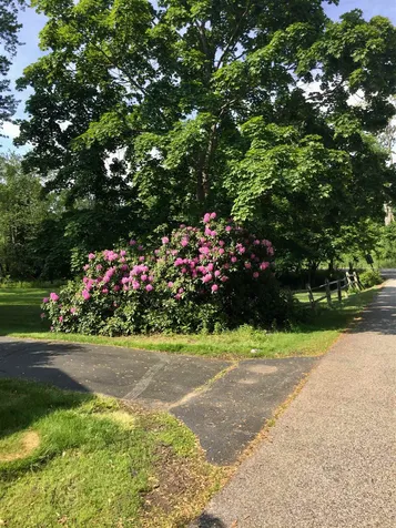 138 Leavitt Avenue Portsmouth NH 03801