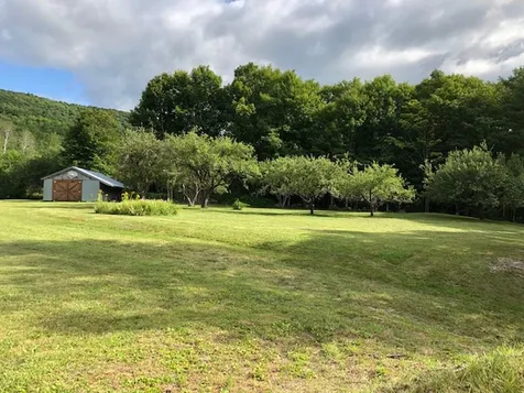 2407 Nh Route 118 Dorchester NH 03266