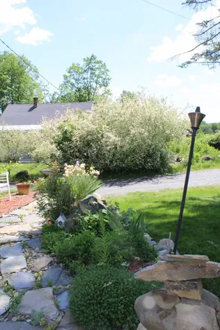 9 Dean Street Springfield VT 05156