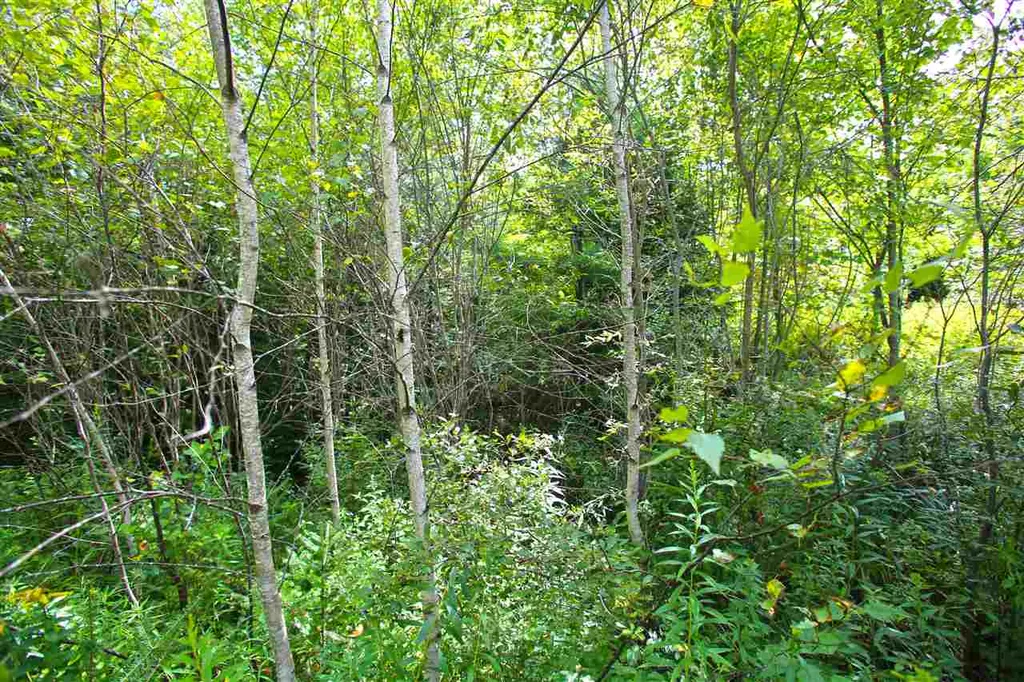 19 Burchard Road Dover VT 05356