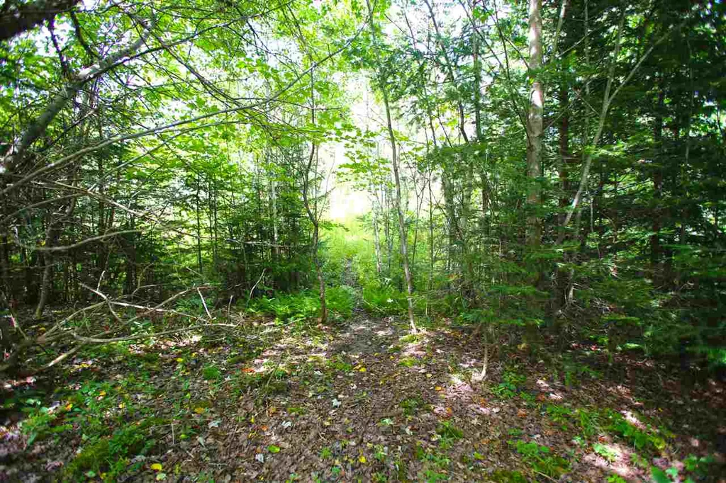 19 Burchard Road Dover VT 05356