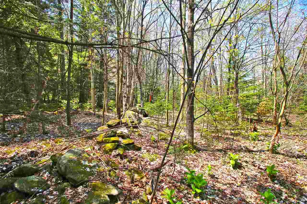 19 Burchard Road Dover VT 05356
