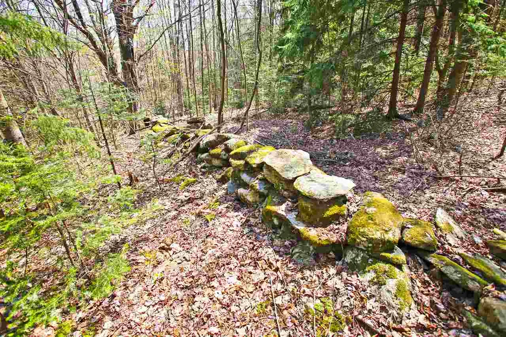19 Burchard Road Dover VT 05356
