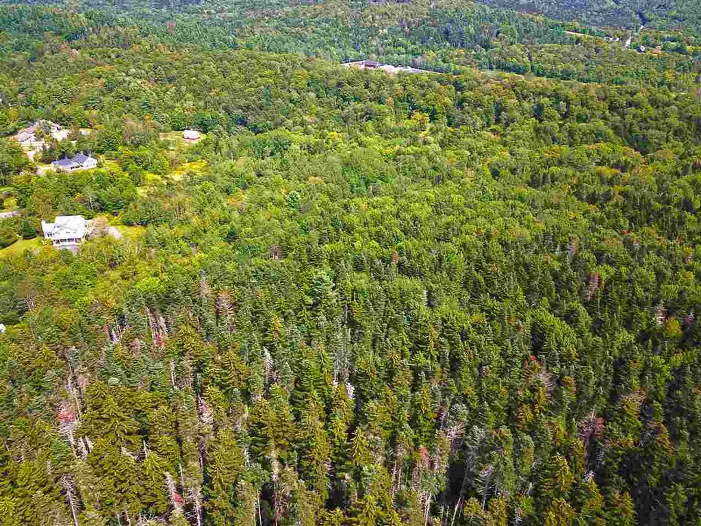 19 Burchard Road Dover VT 05356