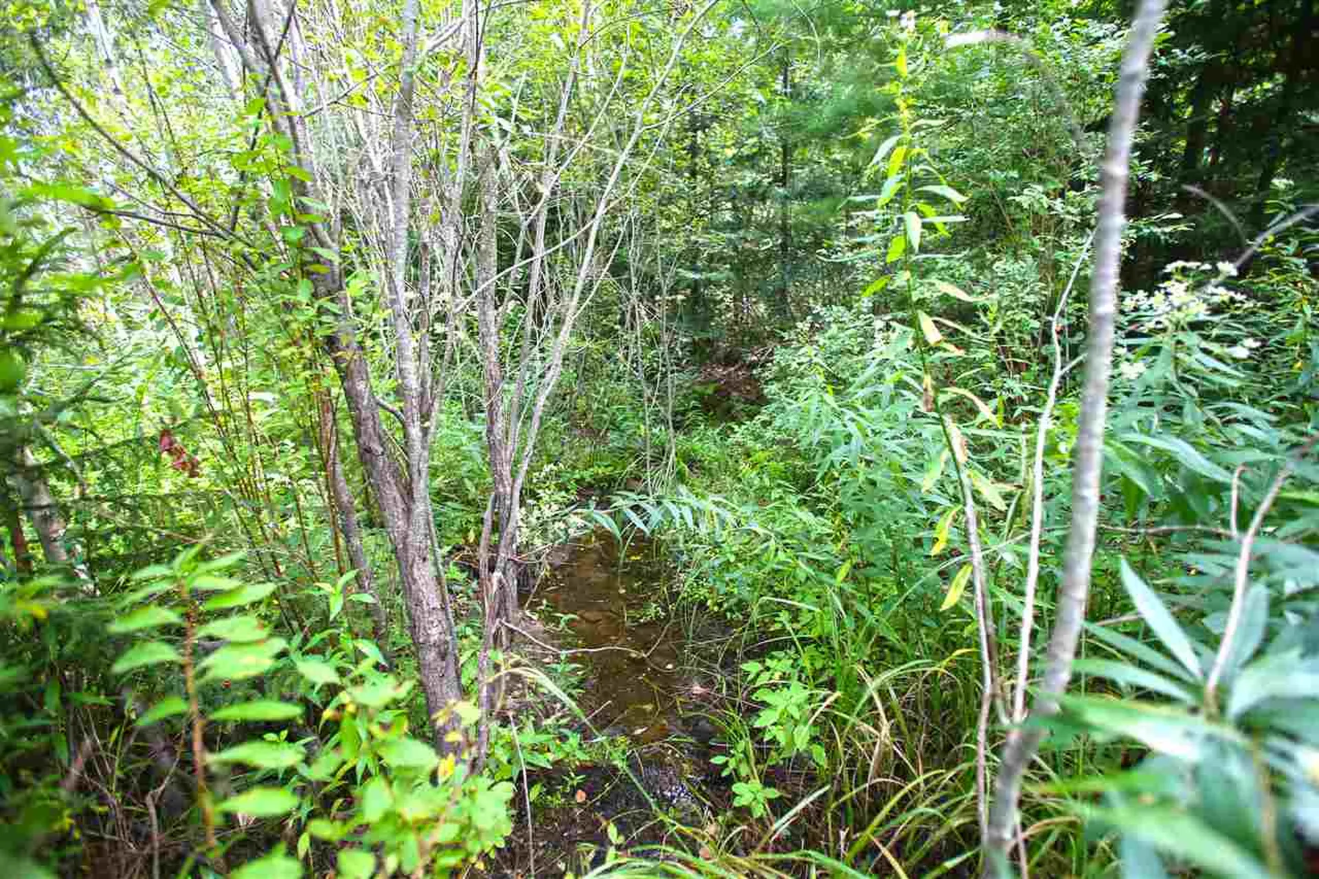 19 Burchard Road Dover VT 05356