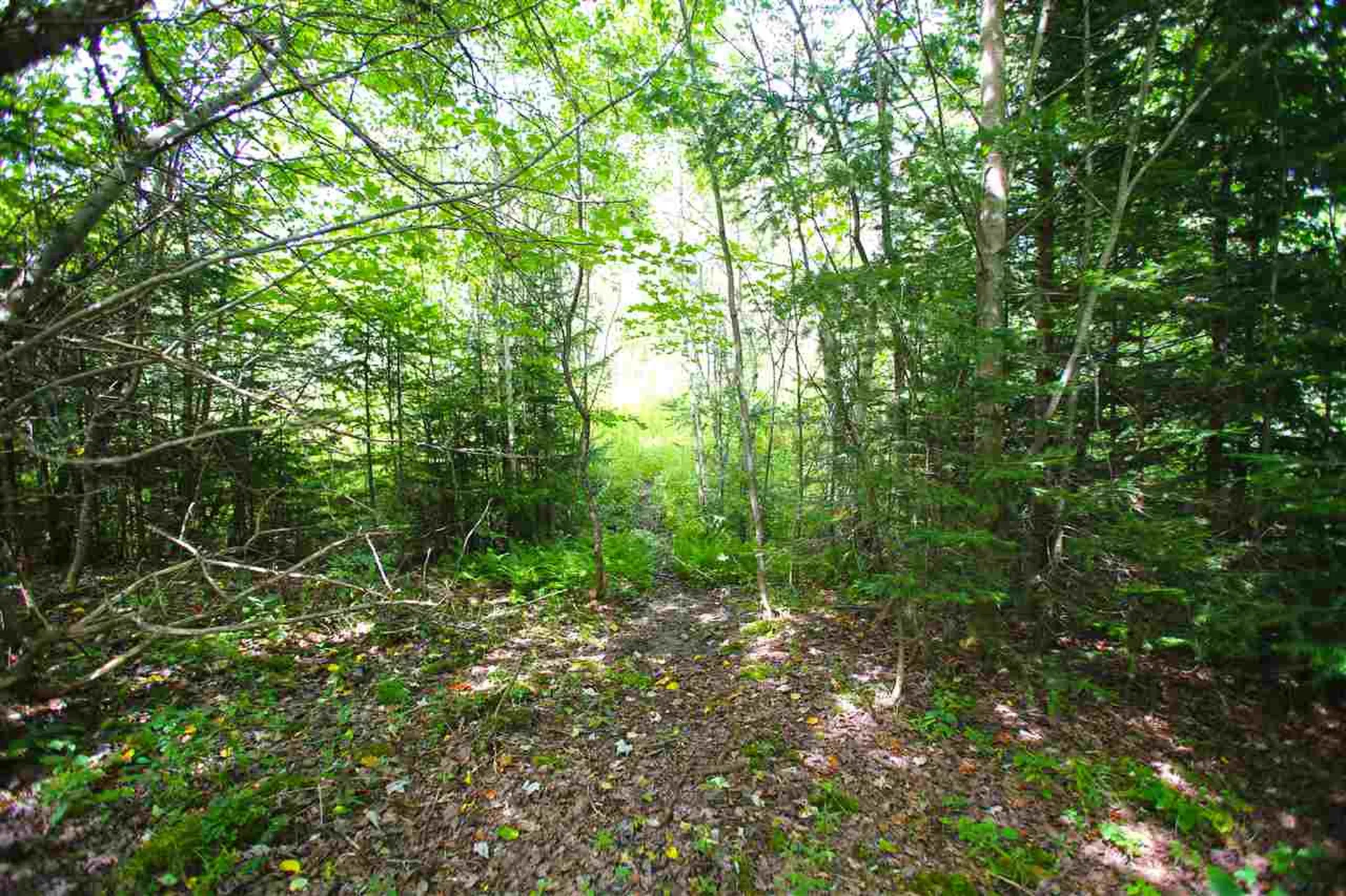 19 Burchard Road Dover VT 05356