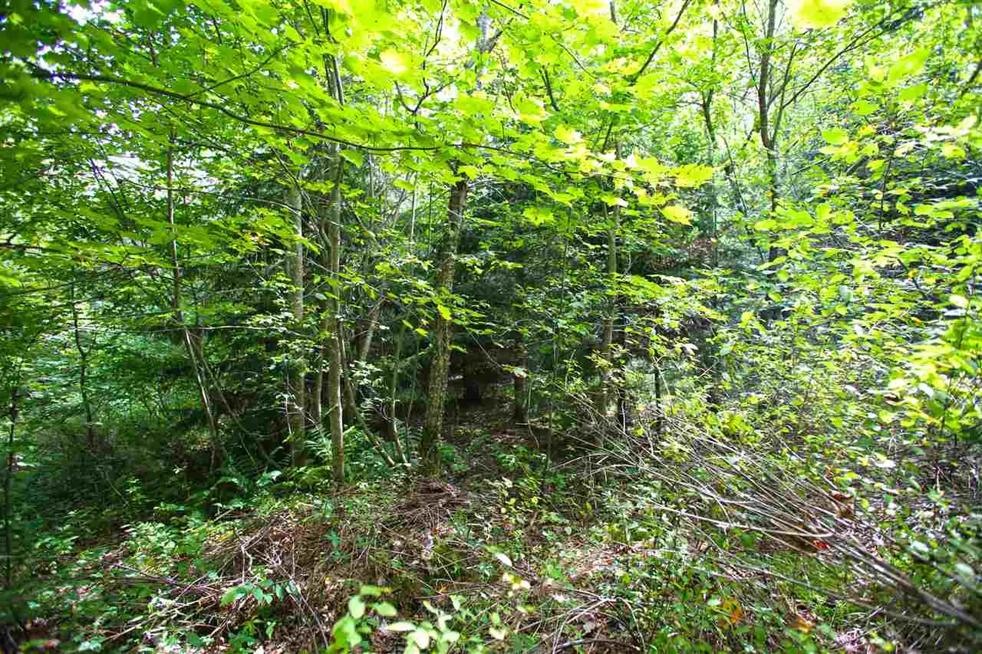 19 Burchard Road Dover VT 05356