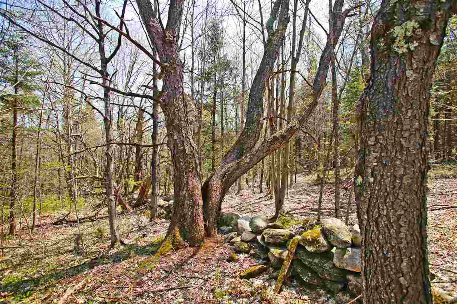 19 Burchard Road Dover VT 05356