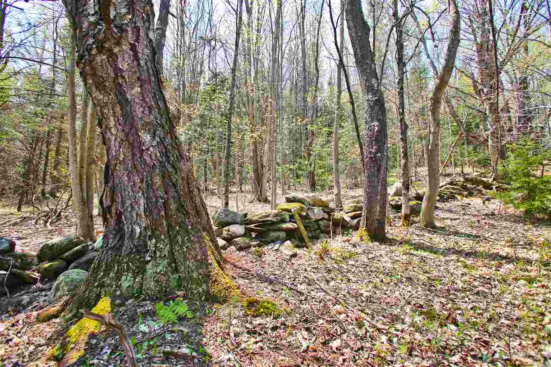 19 Burchard Road Dover VT 05356