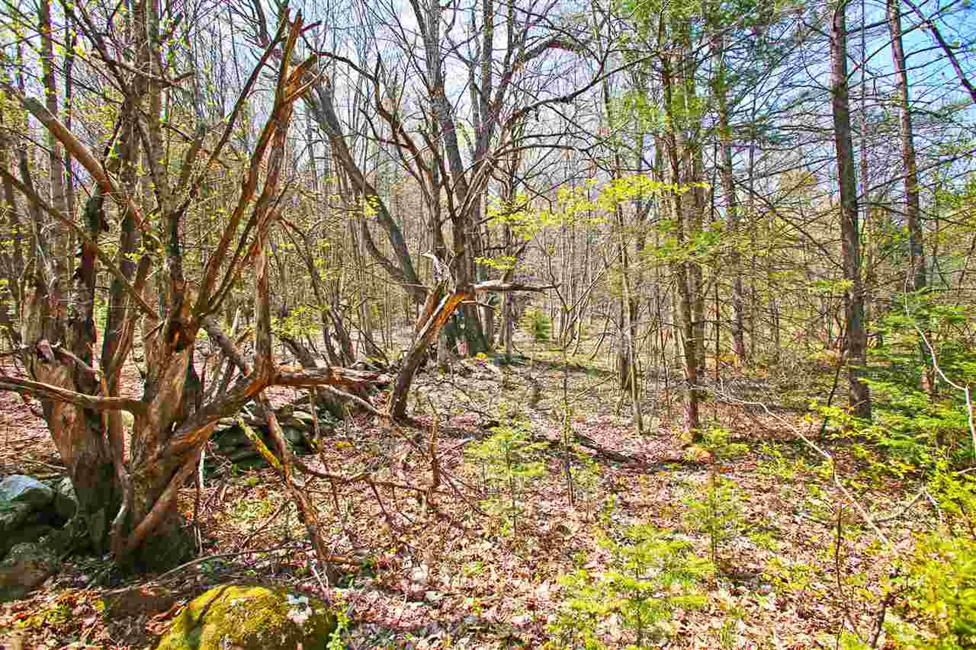 19 Burchard Road Dover VT 05356
