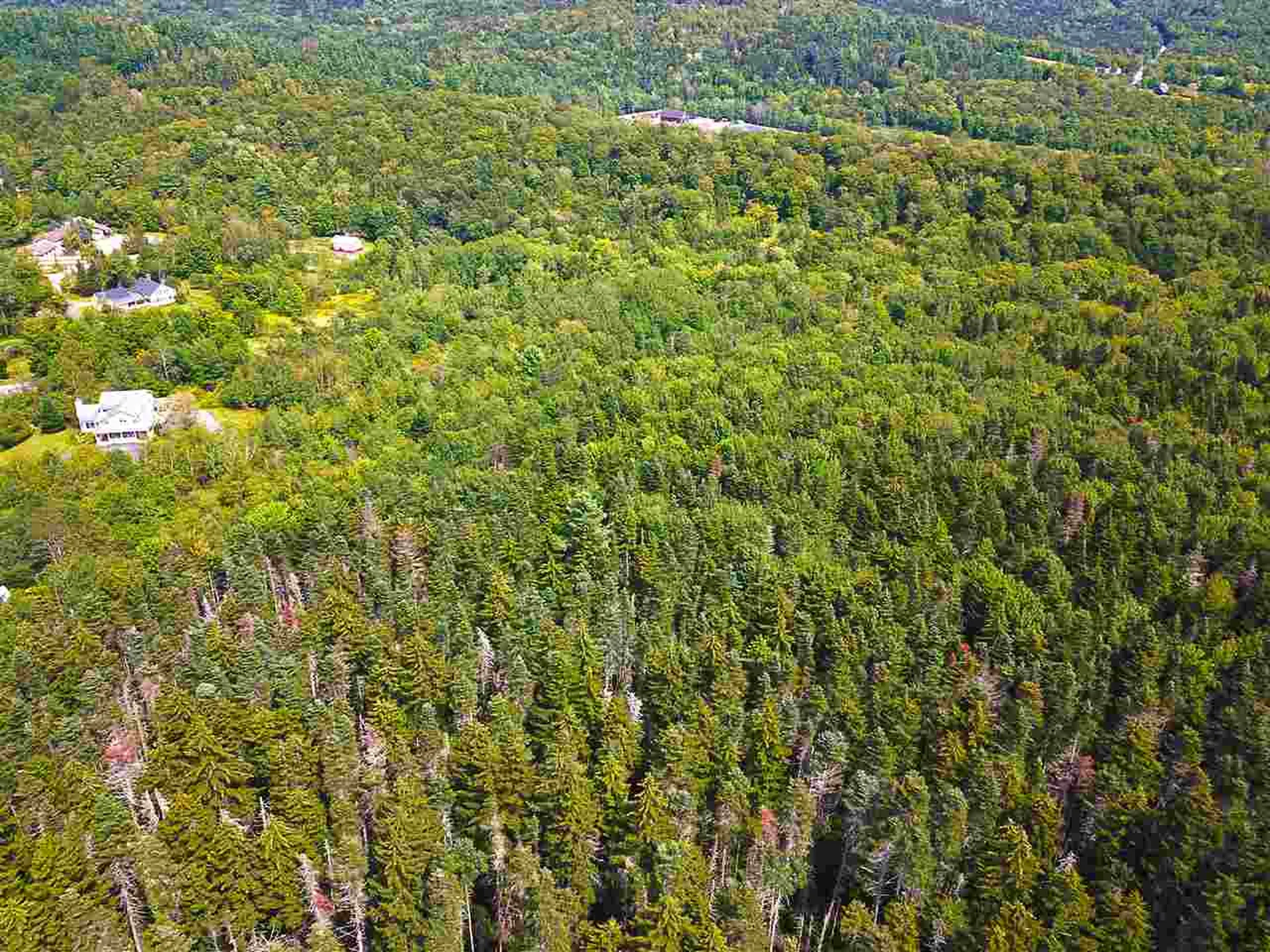 19 Burchard Road Dover VT 05356