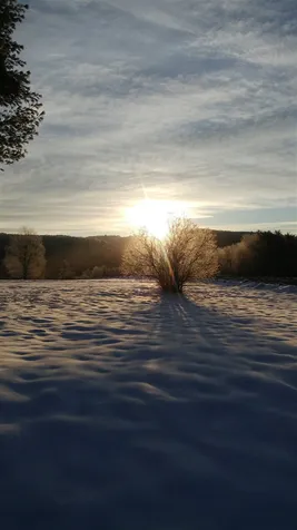 3332 Halfway Brook Road Brookfield VT 05036