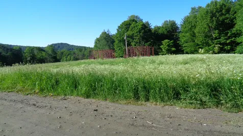3332 Halfway Brook Road Brookfield VT 05036