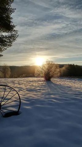 3332 Halfway Brook Road Brookfield VT 05036
