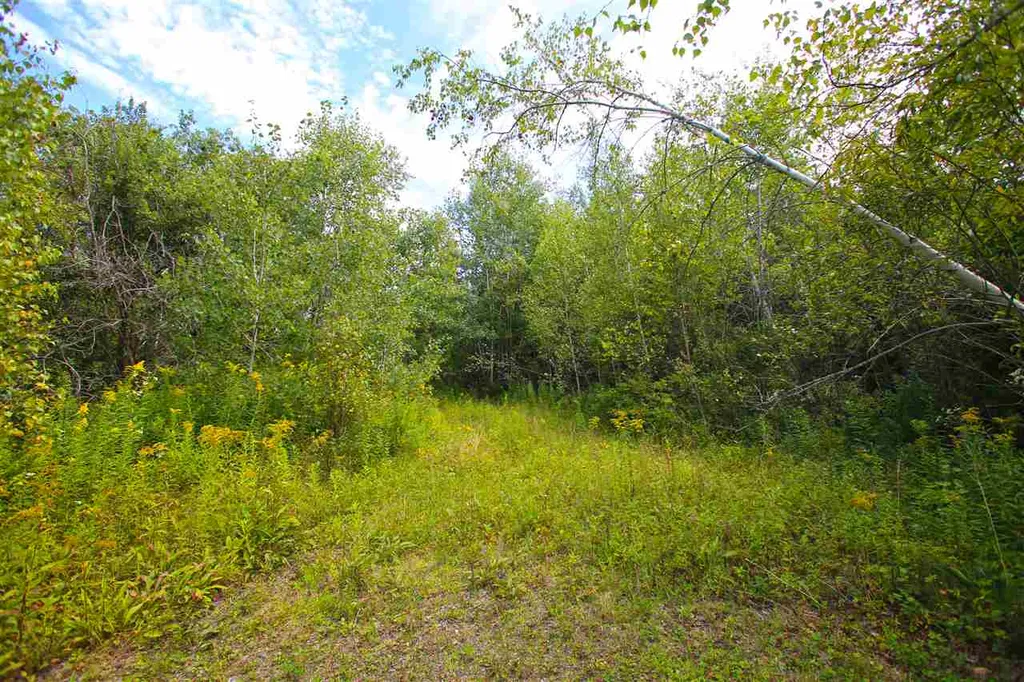 17 Burchard Road Dover VT 05356