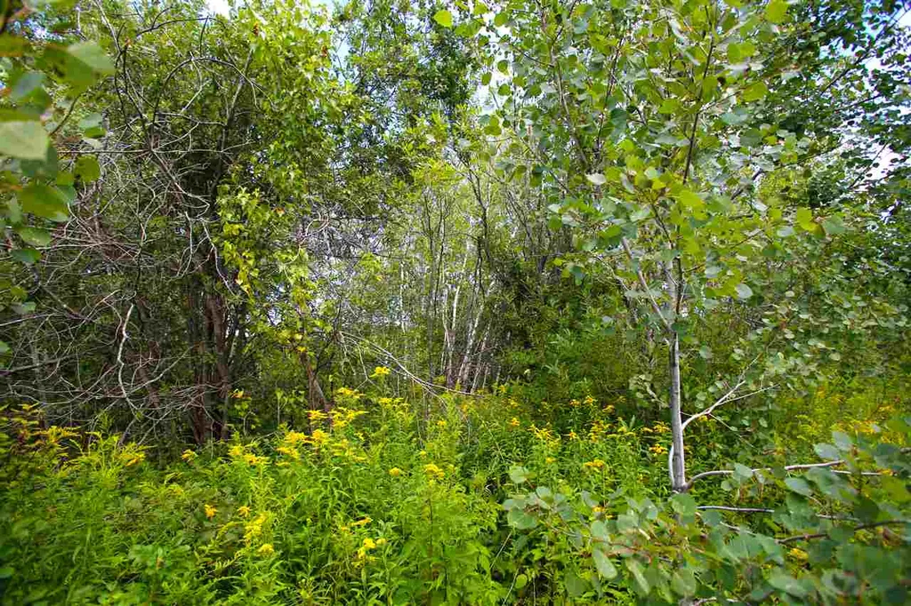 17 Burchard Road Dover VT 05356