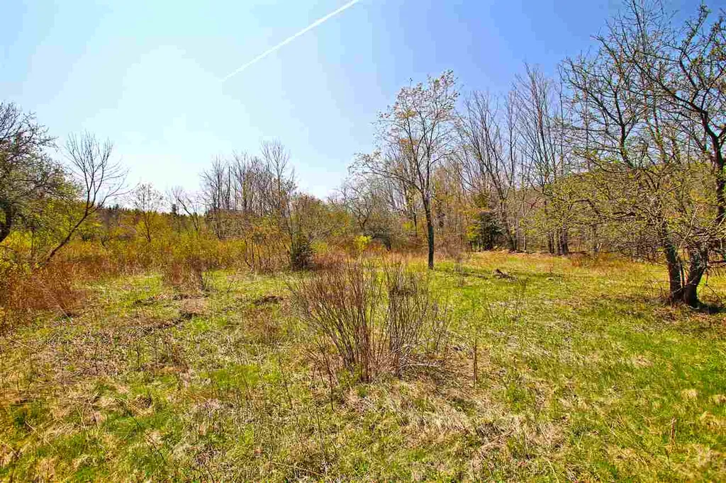 17 Burchard Road Dover VT 05356