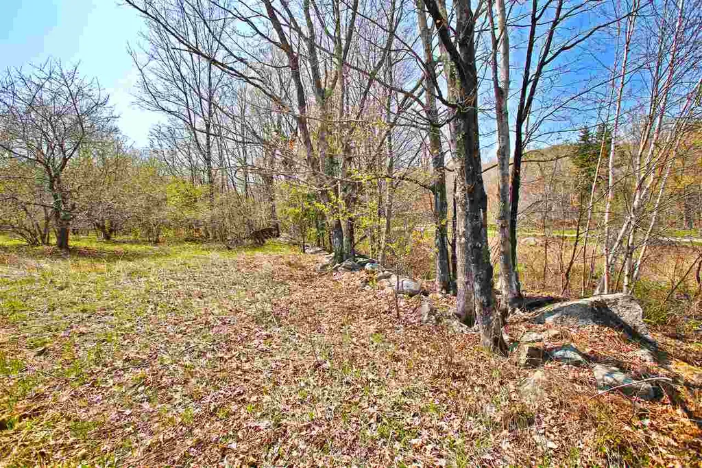 17 Burchard Road Dover VT 05356