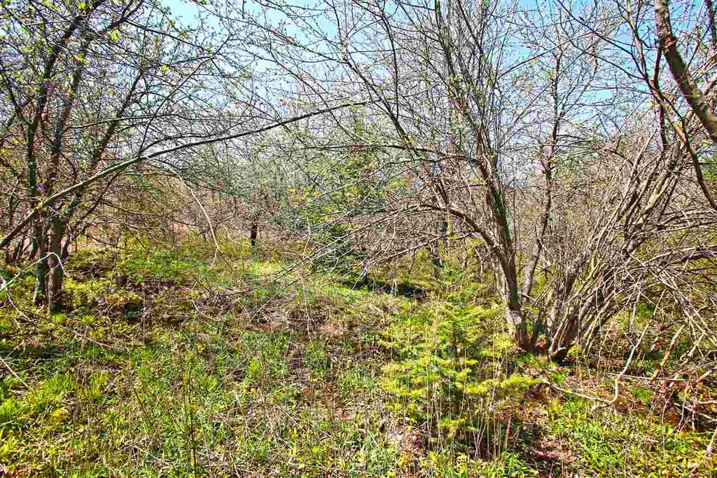 17 Burchard Road Dover VT 05356