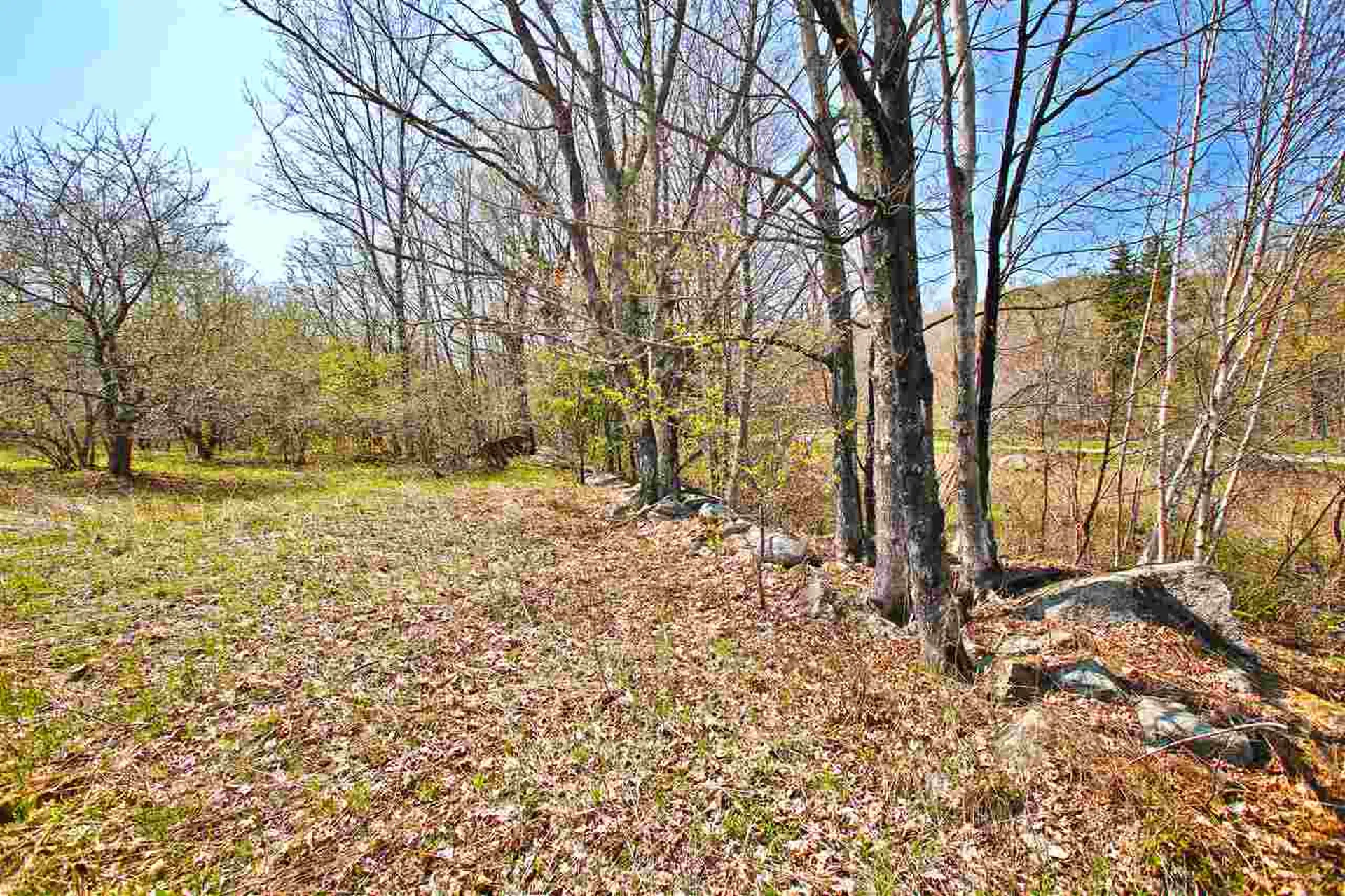 17 Burchard Road Dover VT 05356