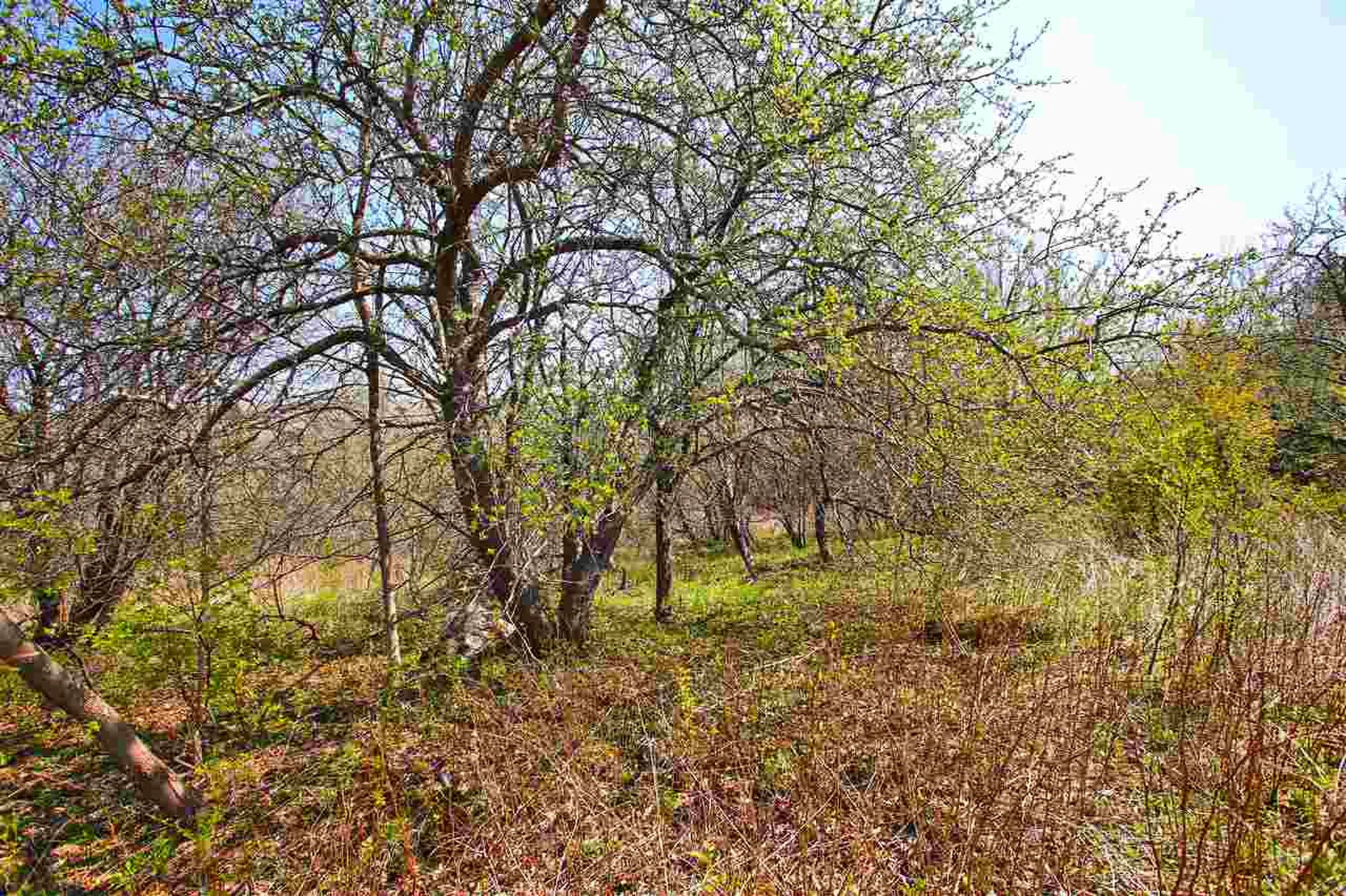 17 Burchard Road Dover VT 05356